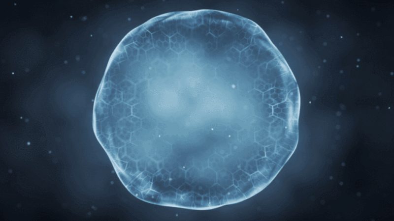 离心管选尺寸和容量，90%的人第一步就错了