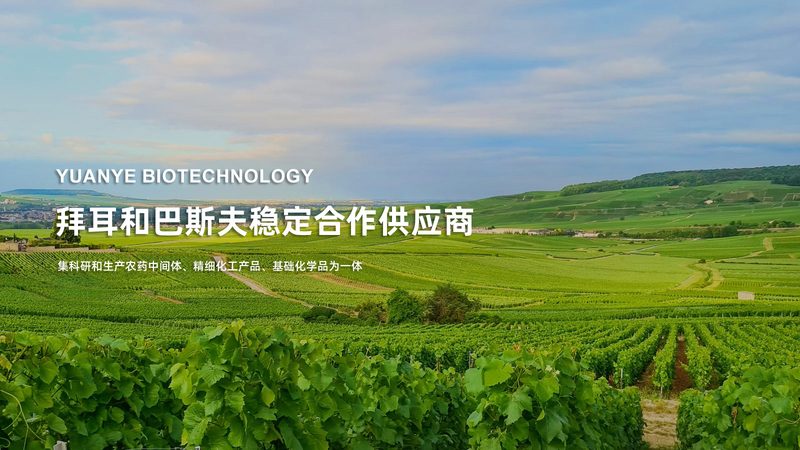 生物医药外包定制：型号规格背后的选型逻辑与行业真相