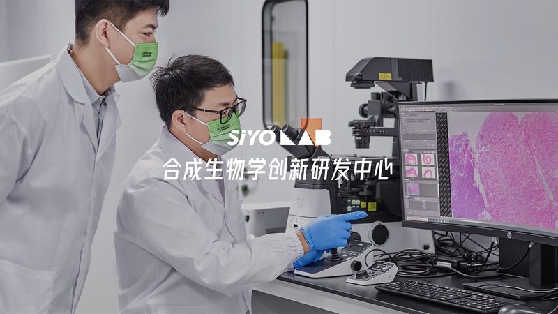 CDMO与CRO：揭秘药物研发背后的两大合作伙伴