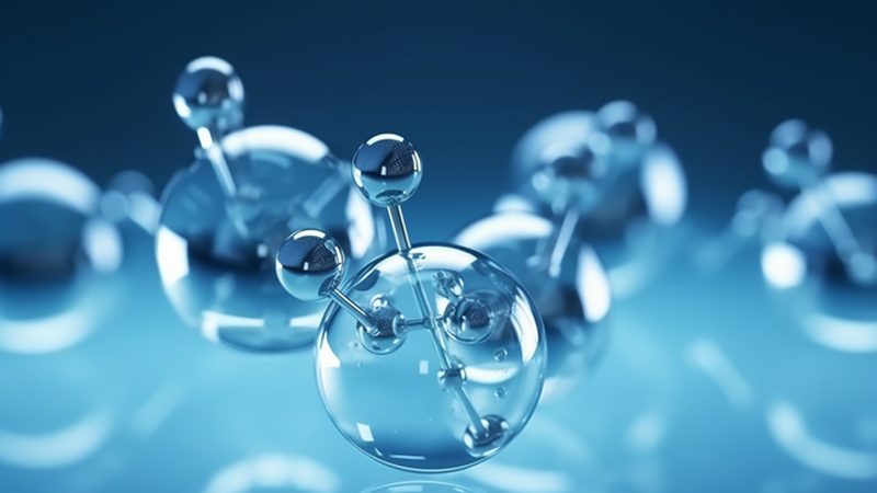 揭秘生物试剂定制服务周期：从设计到交付的幕后旅程