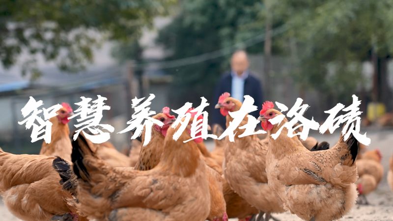 生物实验室装修：揭秘与普通装修的五大关键区别**