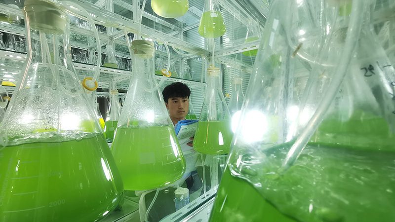 实验室离心管品牌，远不止“谁更耐用”那么简单